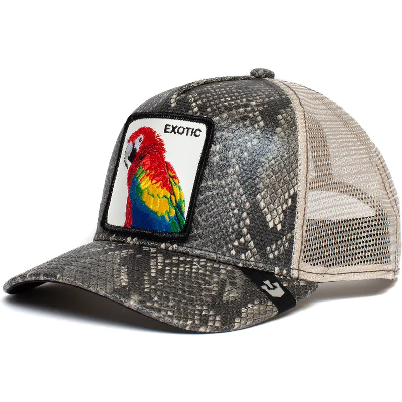 curva-snapback-the-farm-goorin-bros