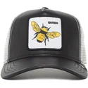 curva-snapback-the-farm-goorin-bros