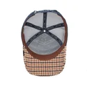 curva-snapback-the-farm-goorin-bros