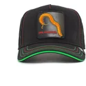 curva-snapback-the-farm-goorin-bros