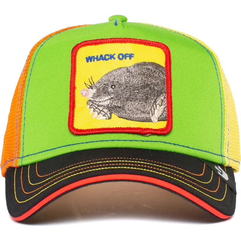 curva-snapback-the-farm-goorin-bros