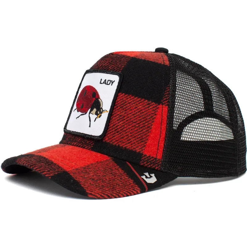 curva-snapback-the-farm-goorin-bros