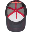 curva-snapback-the-farm-goorin-bros