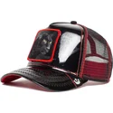 curva-snapback-the-farm-goorin-bros