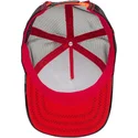 curva-snapback-the-farm-goorin-bros