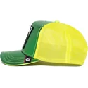 curva-snapback-the-farm-goorin-bros