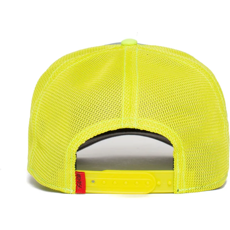 curva-snapback-the-farm-goorin-bros
