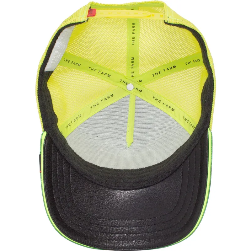 curva-snapback-the-farm-goorin-bros