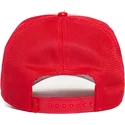 curva-snapback-the-farm-goorin-bros