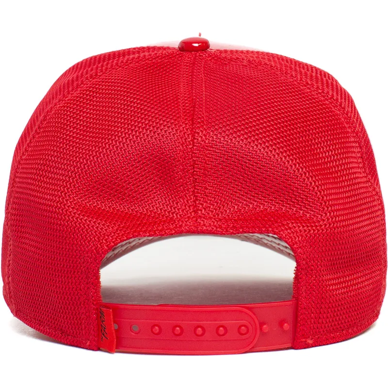 curva-snapback-the-farm-goorin-bros
