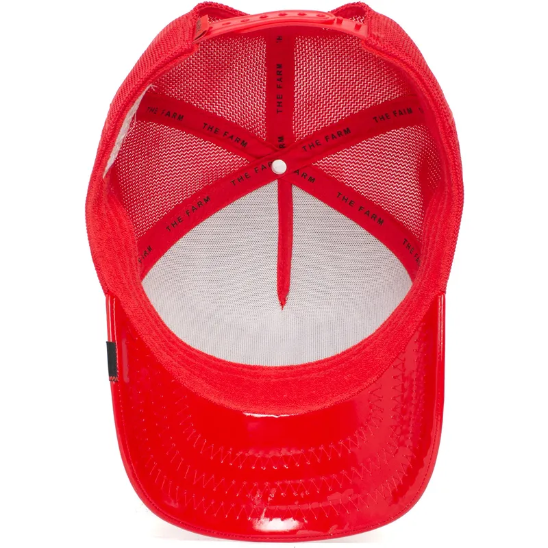 curva-snapback-the-farm-goorin-bros