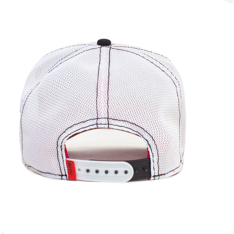 curva-snapback-the-farm-goorin-bros