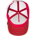 curva-snapback-the-farm-goorin-bros