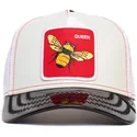 curva-snapback-the-farm-goorin-bros