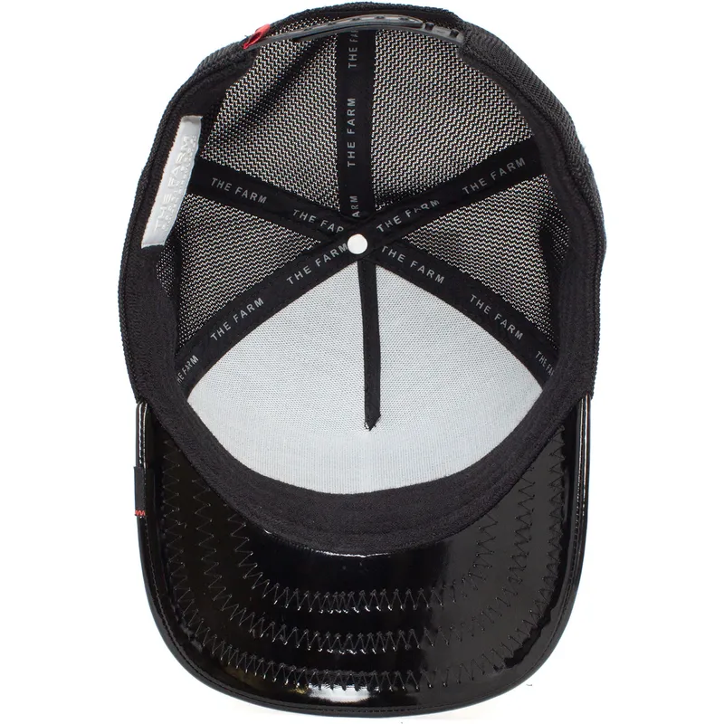 curva-snapback-the-farm-goorin-bros
