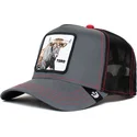 curva-snapback-the-farm-goorin-bros