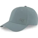 curva-puma