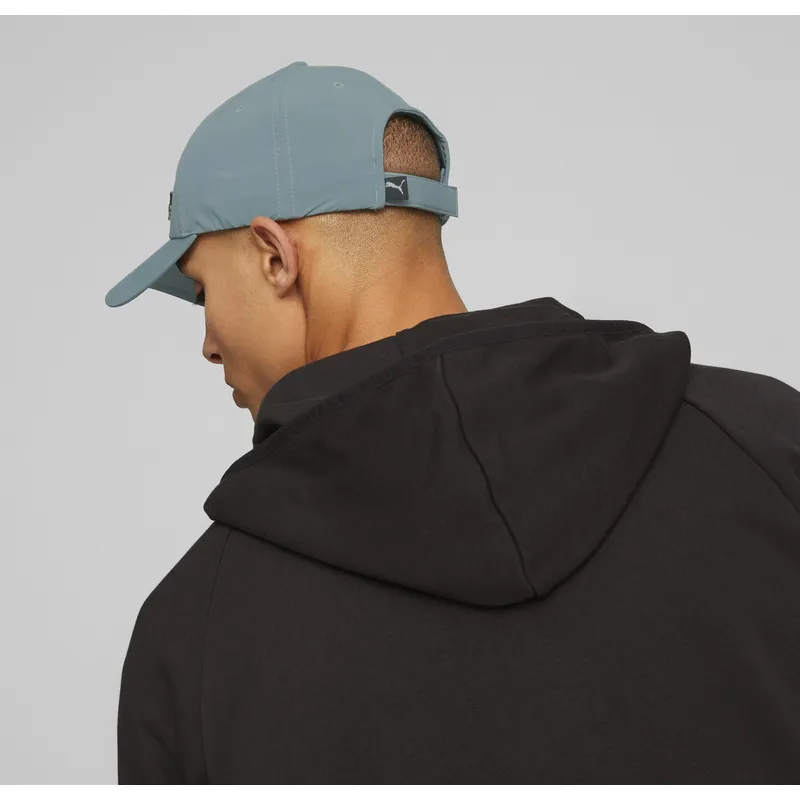curva-puma
