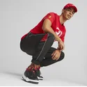 curva-sptwr-race-b-ferrari-formula-1-puma
