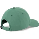 curva-puma