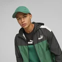 curva-puma