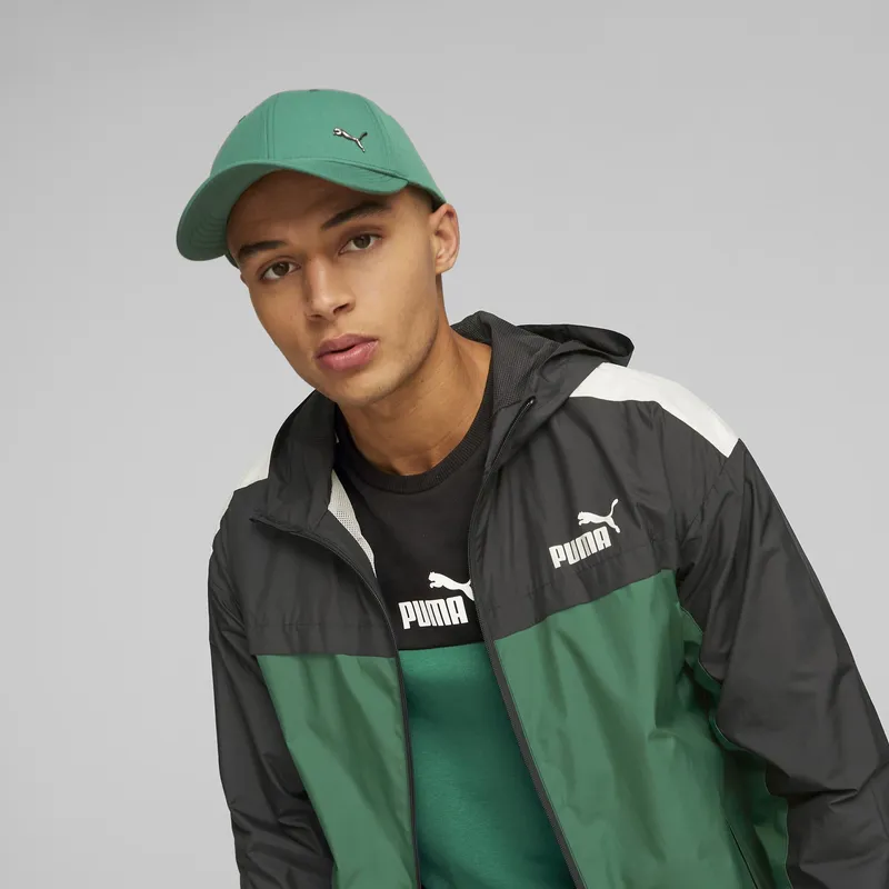 curva-puma