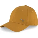 curva-puma