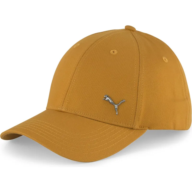 curva-puma