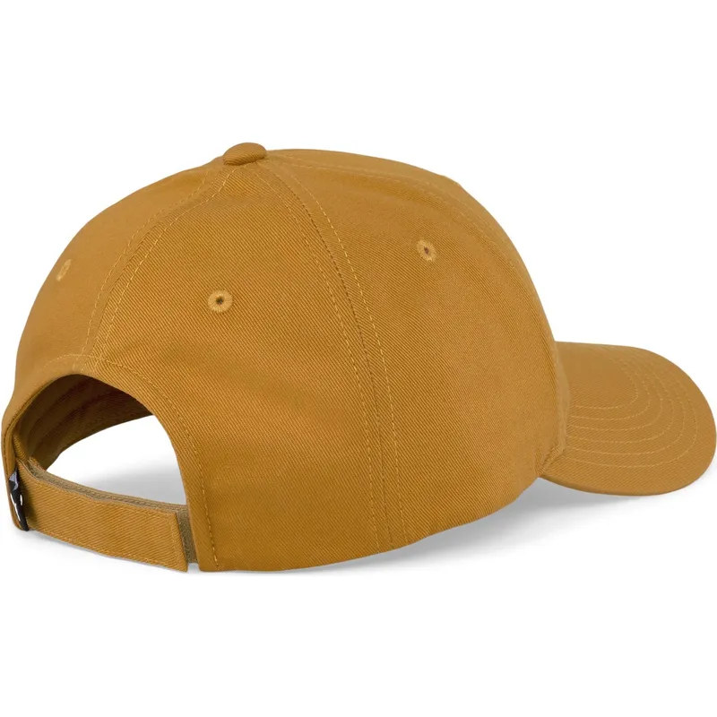 curva-puma