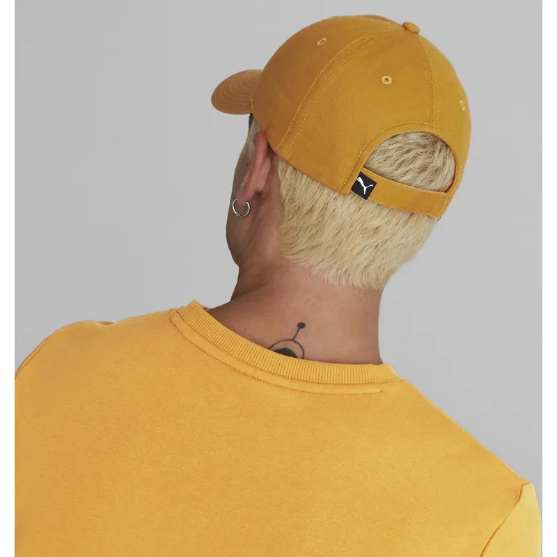 curva-puma
