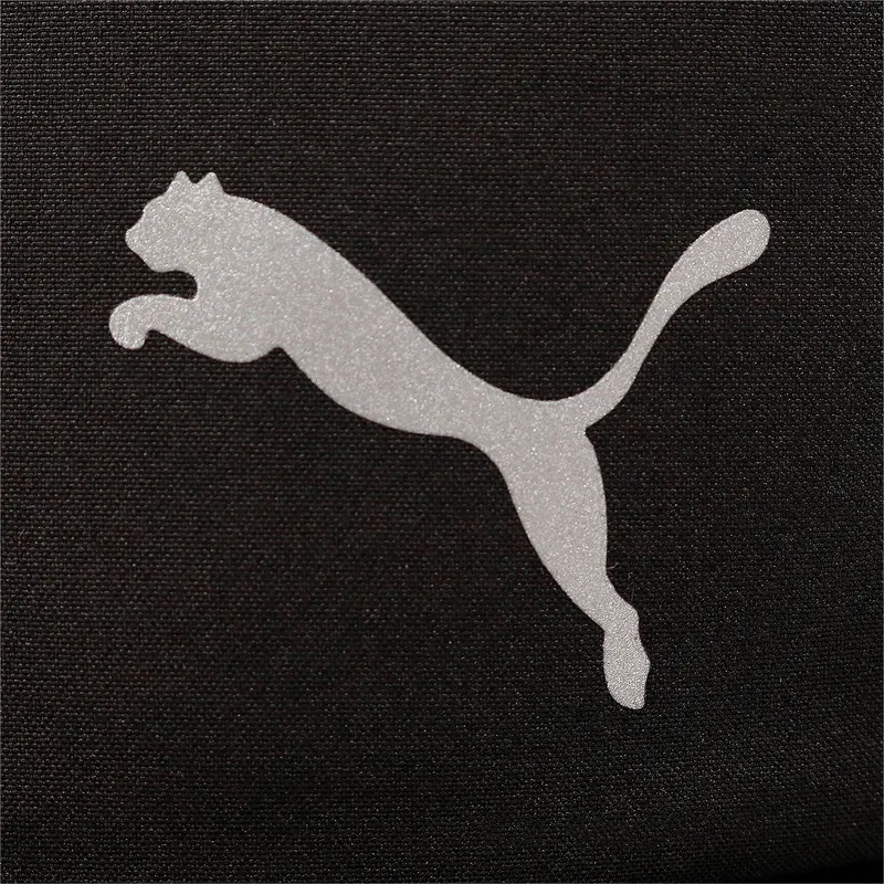 curva-puma