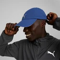 quick-dry-drycell-puma