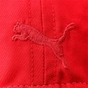 sptwr-race-bb-ferrari-formula-1-puma