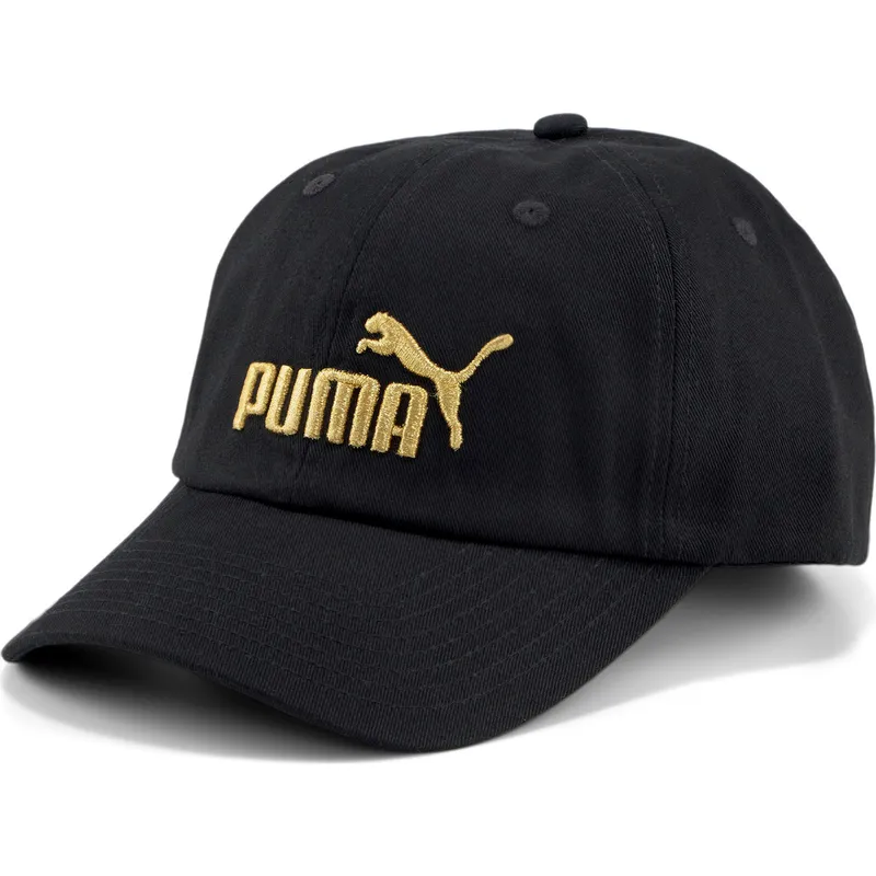 curva-puma curva-puma