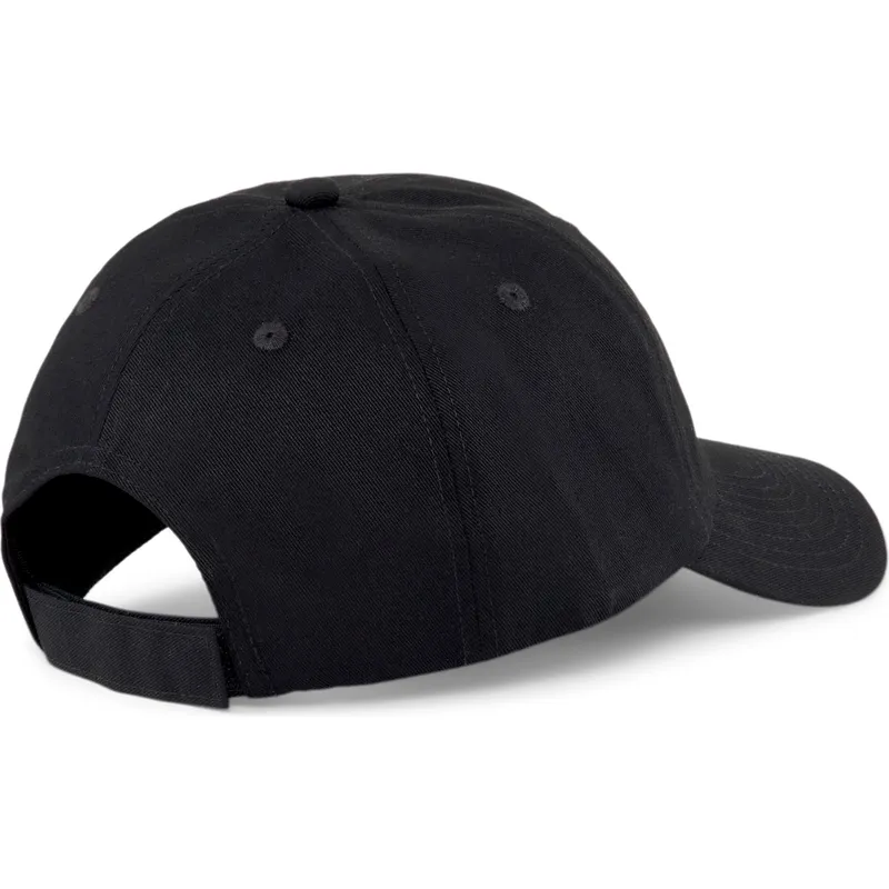 curva-puma curva-puma