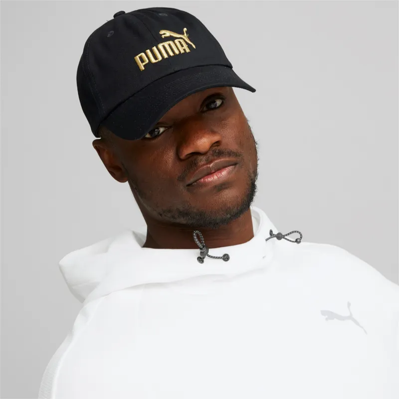 curva-puma curva-puma