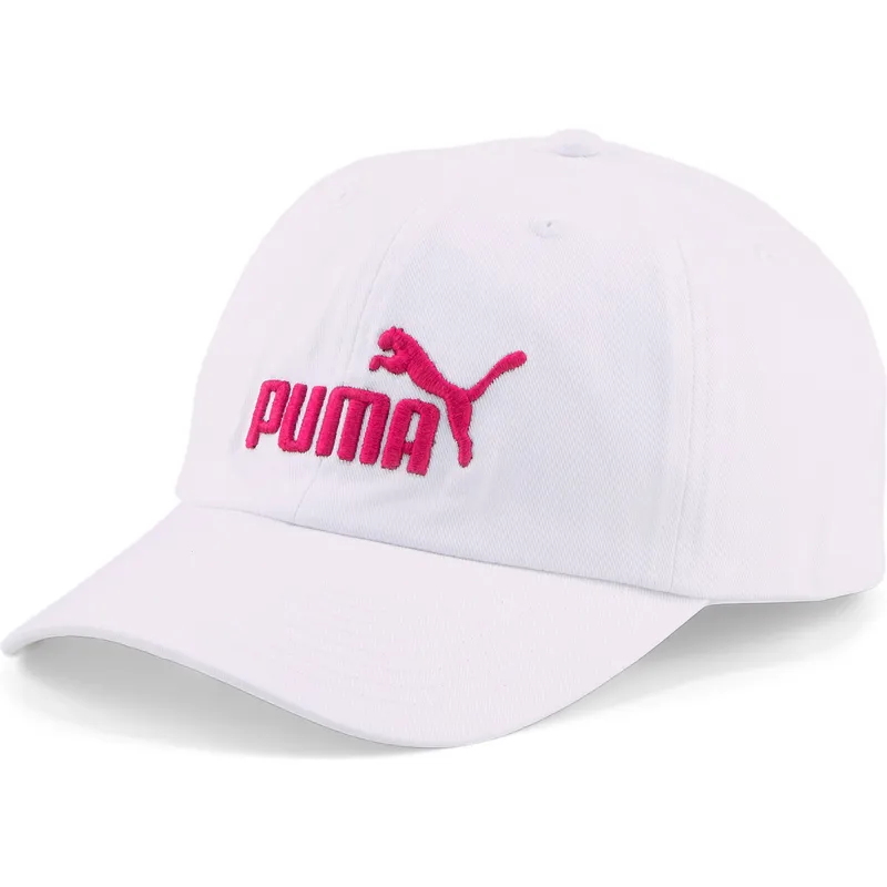 curva-puma