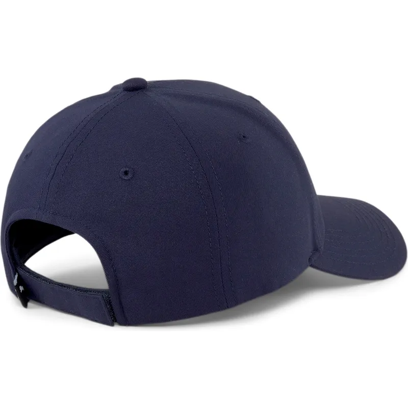 curva-puma