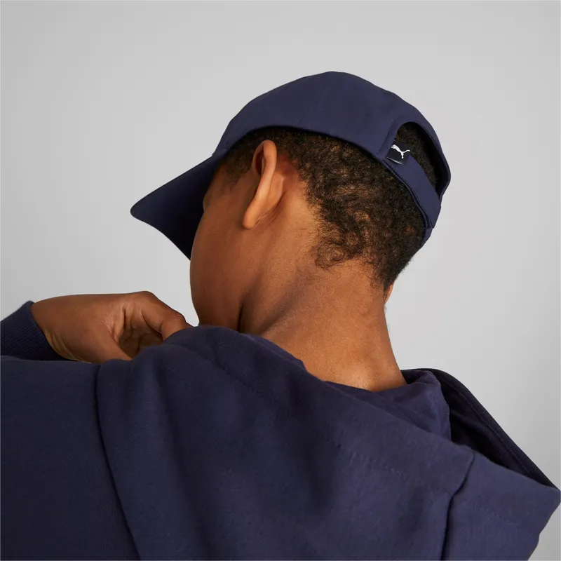 curva-puma