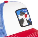 curva-snapback-silvestre-looney-tunes-capslab