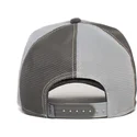 curva-snapback-the-farm-goorin-bros