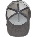 curva-snapback-the-farm-goorin-bros