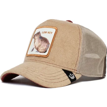 curva-snapback-the-farm-goorin-bros