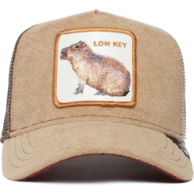 curva-snapback-the-farm-goorin-bros