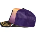 curva-snapback-the-farm-goorin-bros