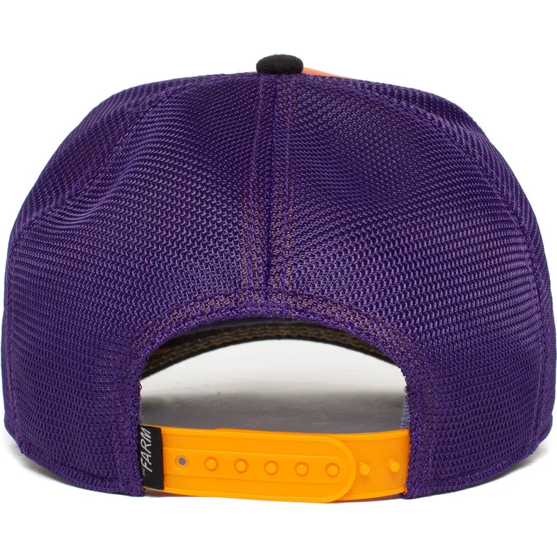 curva-snapback-the-farm-goorin-bros