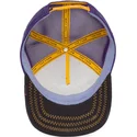 curva-snapback-the-farm-goorin-bros