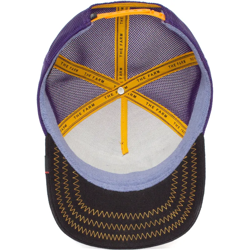 curva-snapback-the-farm-goorin-bros
