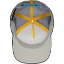 curva-snapback-the-farm-goorin-bros