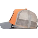 curva-snapback-the-farm-goorin-bros